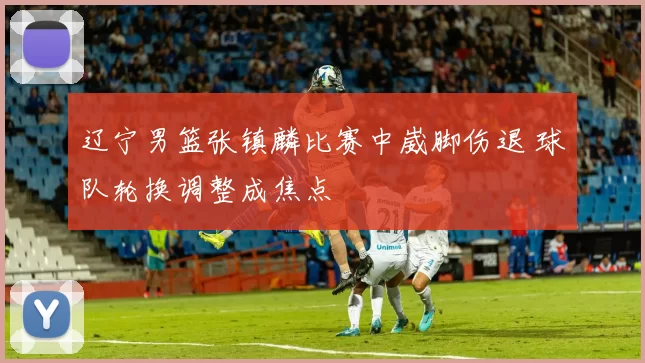 辽宁男篮张镇麟比赛中崴脚伤退 球队轮换调整成焦点