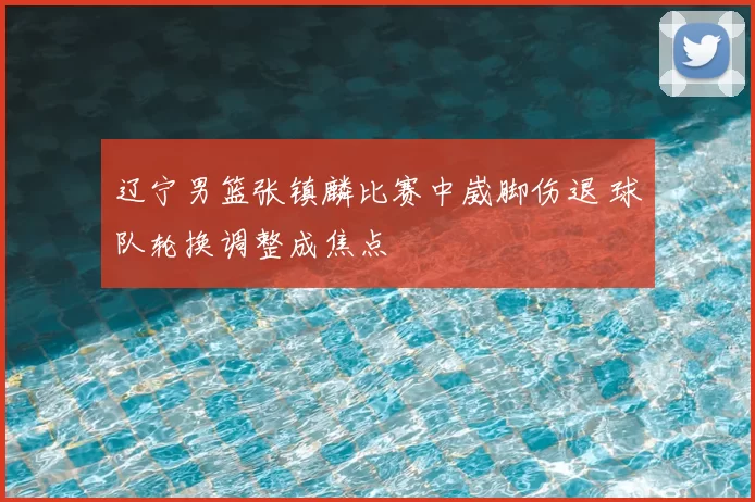辽宁男篮张镇麟比赛中崴脚伤退 球队轮换调整成焦点