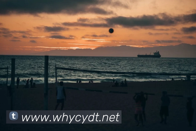 乐竞体育·(中国)官方网站 LEJING SPORTS服务体系